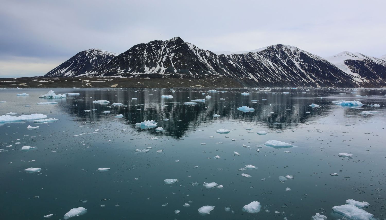 Russian arctic. Национальный парк русская Арктика. Парк русская Арктика Архангельск. Русская Арктика новая земля. Остров Северный национальный парк русская Арктика.